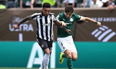 palmeiras botafogo